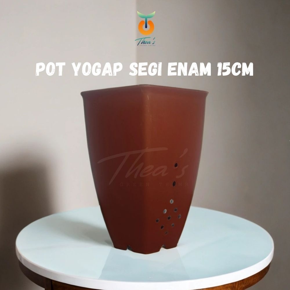 POT PLASTIK YOGAP SEGI ENAM 15cm (SUKULEN, KAKTUS, BUNGA TANAMAN LAINNYA)