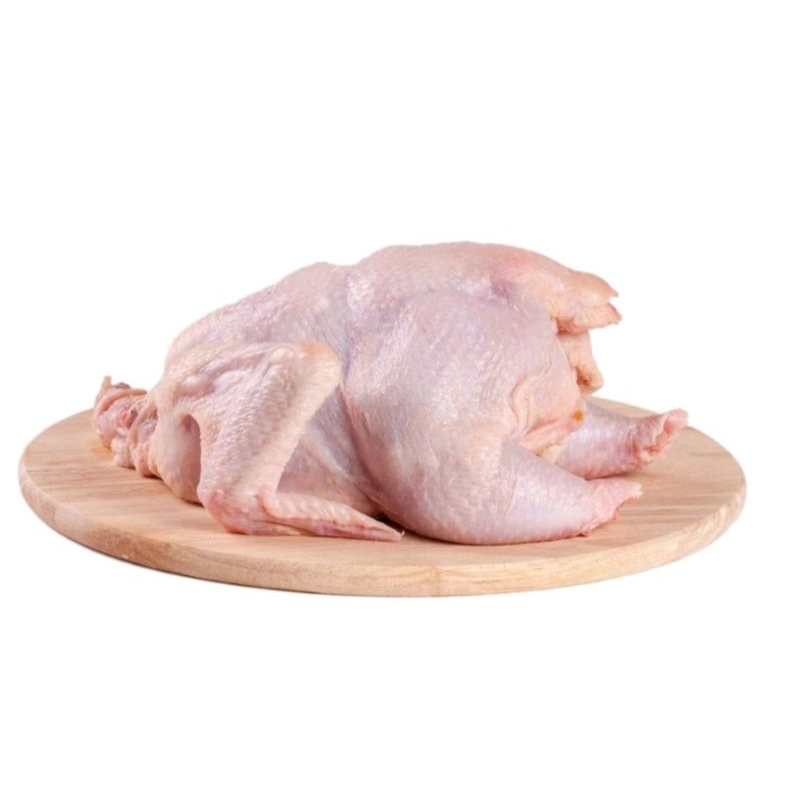 

Ayam segar ukuran ekonomis 1 ekor...