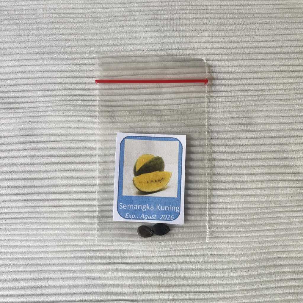Benih Semangka Kuning
