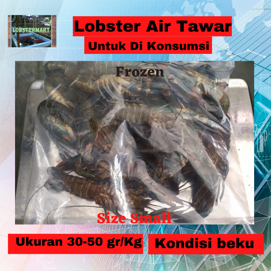 

Lobster air tawar Konsumsi/Crayfish/Lobster Air Tawar frozen-beku Kwalitas Restaurant Ukuran size Medium small Enak Termurah