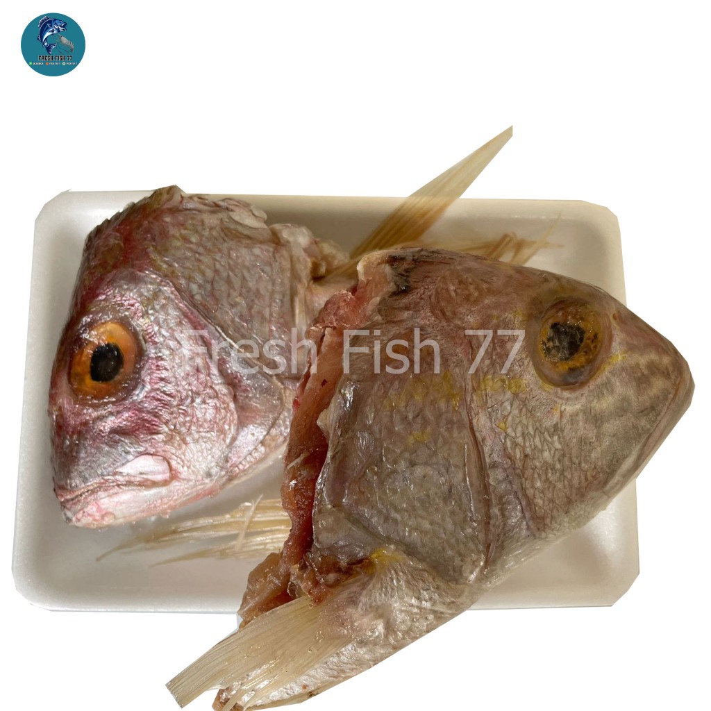 

Kepala Ikan Kurisi (1kg Isi 2 )