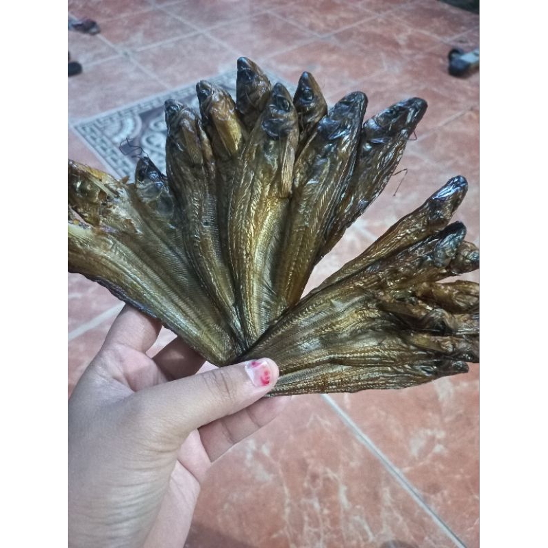

salai salais