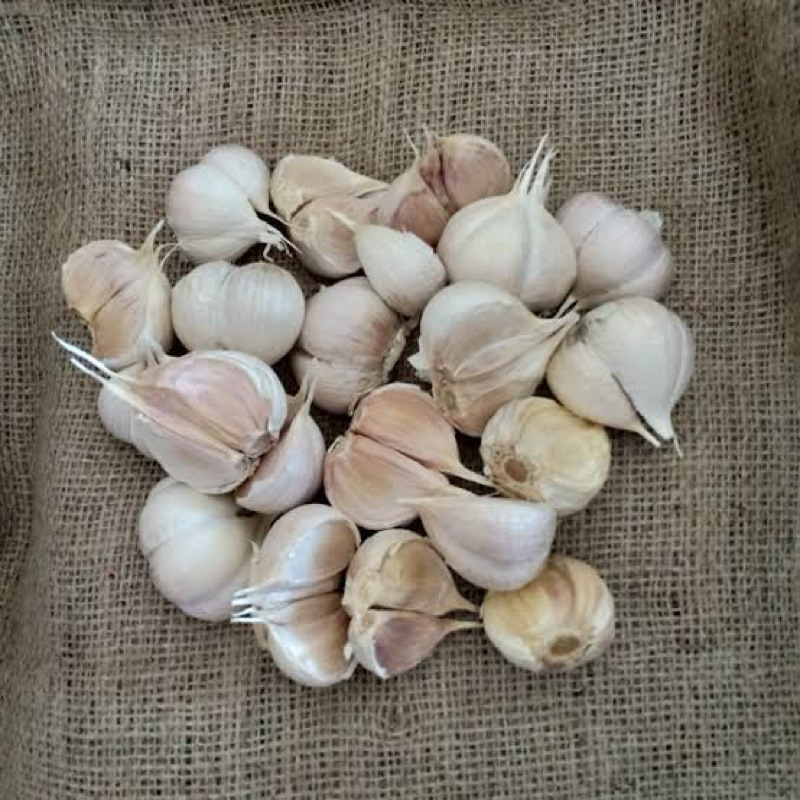 

RB Bawang Putih Kating BERSIH 1/2 Kg