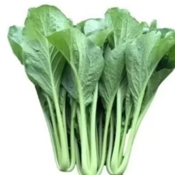 

Sayuran Sawi hijau fresh//sawi hijau kualitas terbaik//500gr