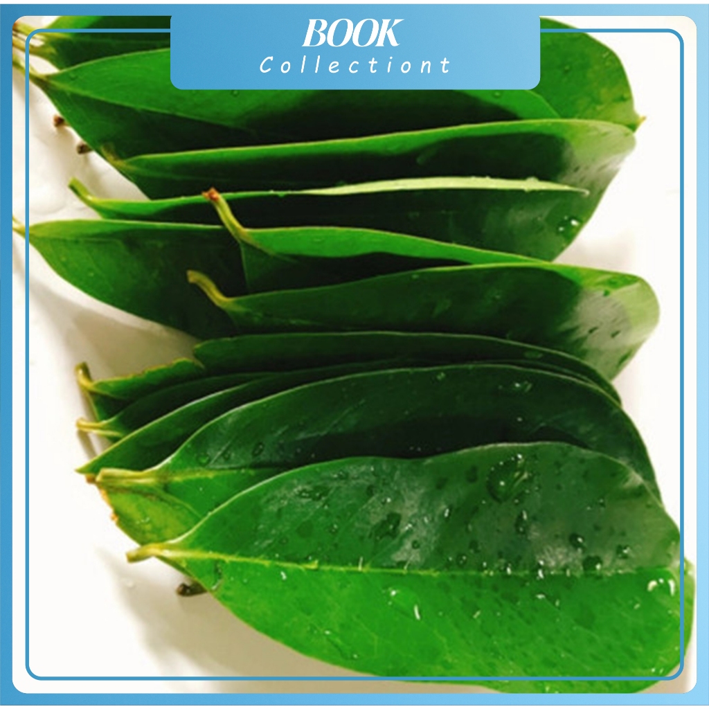 

daun sirsak segar 100 lembar / daun herbal alami
