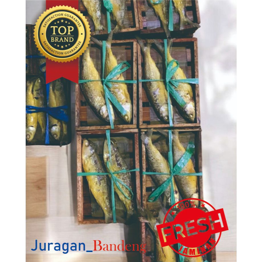

Bandeng Presto Segar / Bandeng Presto Fresh / Bebas Ongkir