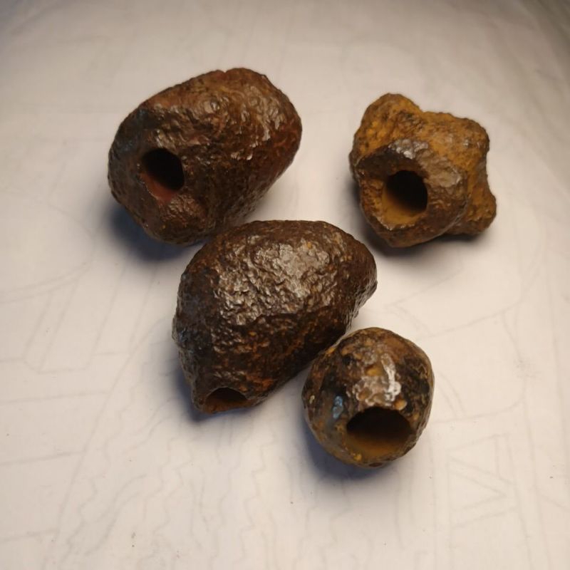 cupu asli alam.temuan gunung kendeng batu badar besi.