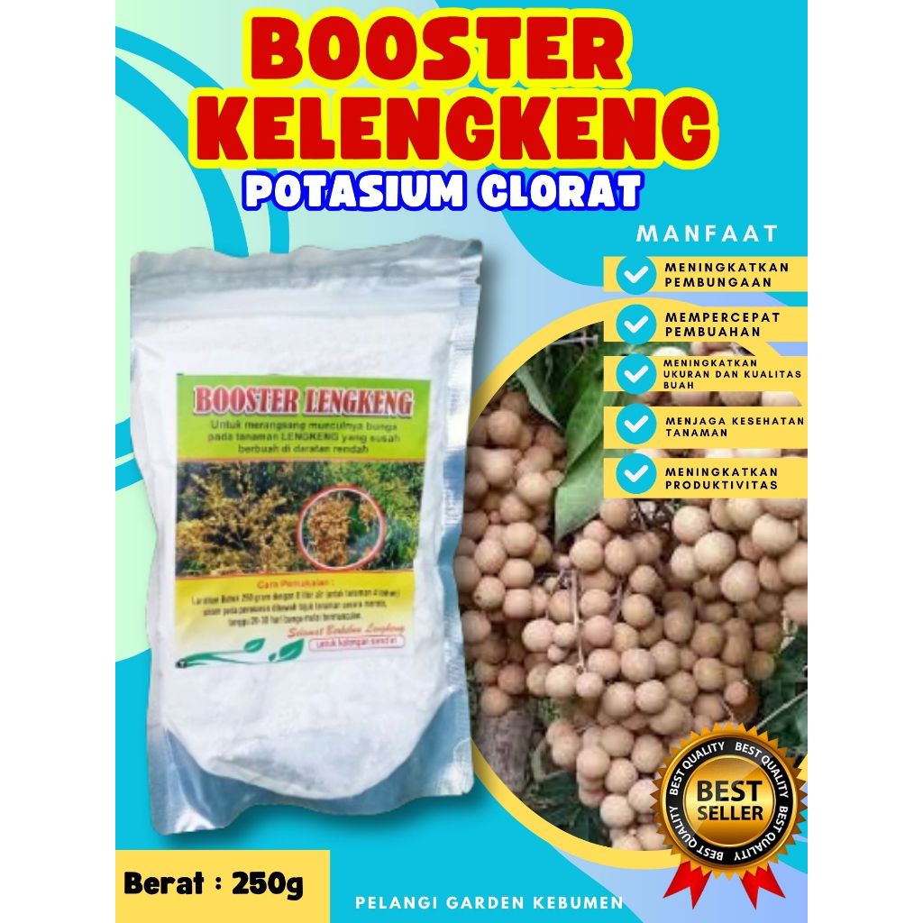 UNGGULAN  Booster Buah Kelengkeng Sudah Berbunga, Booster Buah Kelengkeng Siap Berbuah