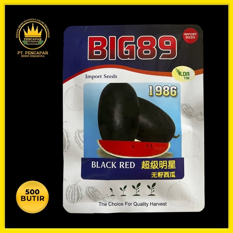 

BENIH SEMANGKA INUL - BIG 89 - 600 BUTIR