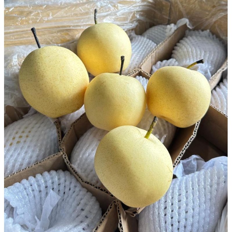 

pear century/ pear kriuk/ pear manis/ buah buahan