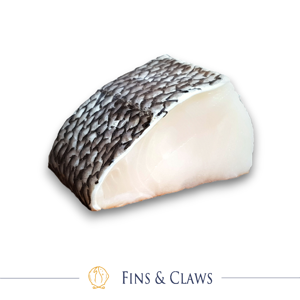 

Frozen Chilean Sea Bass Fillet Portion - Patagonian Toothfish