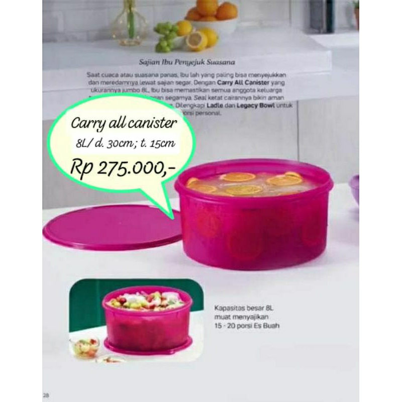 Tupperware Carry All Canister 8L