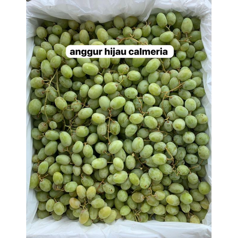 

Anggur Hijau Calmeria 1kg