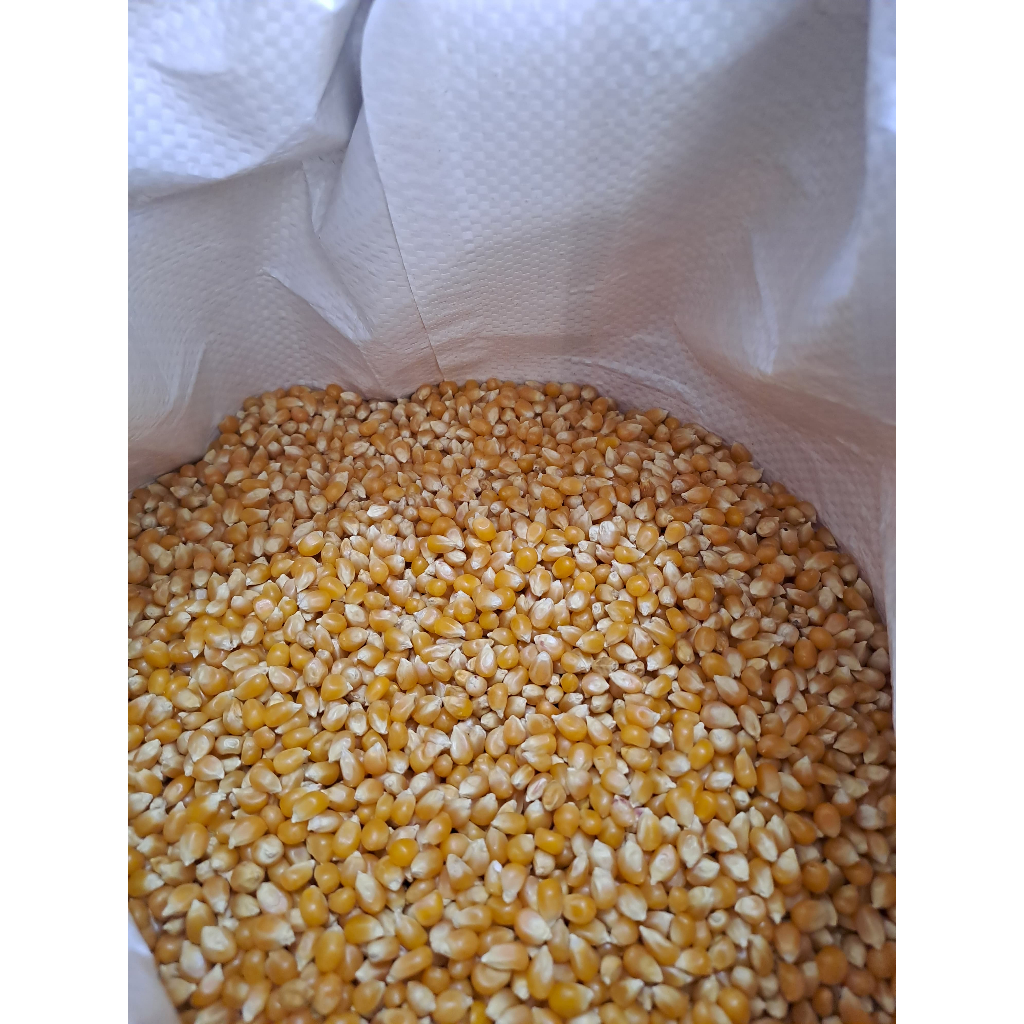 

Campfire Jagung Popcorn Repack - Premium Popcorn
