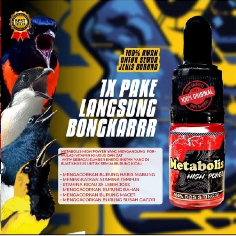 metabolis high power rg metabolisme raja goyang vitamin burung penggacor rajin bunyi pleci sogon kon