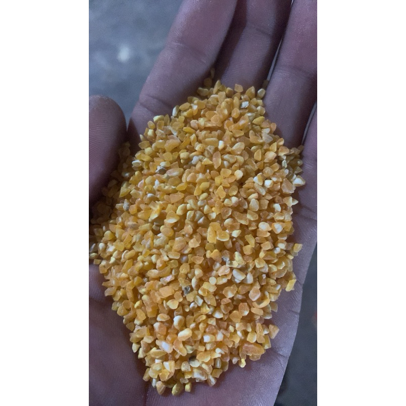 jagung pecah/beras jagung