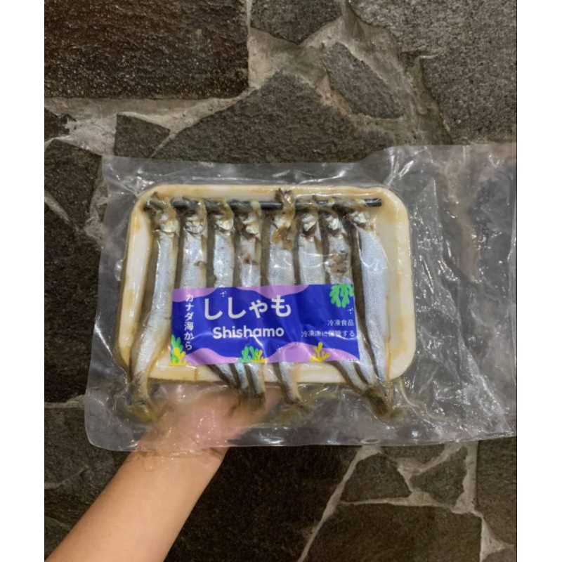 

Ikan Shisamo Full Telur