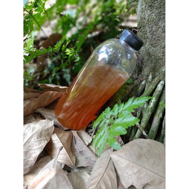 

madu asli sialang ukuran 1000g (1kg)