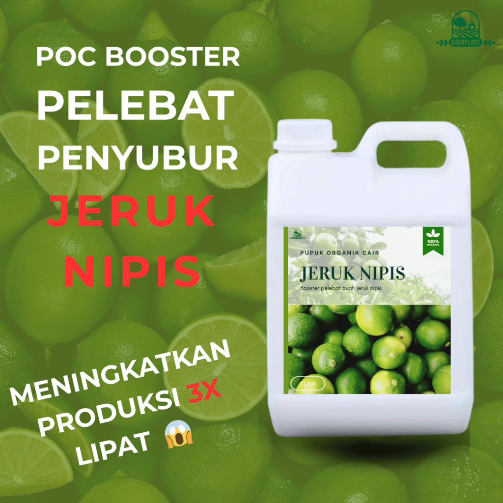 BIOPUPUK Pupuk Jeruk Nipis | Pupuk Organik Cair Buah Jeruk | Pupuk Pelebat Buah Jeruk Nipis