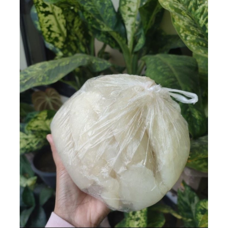 

Cecek Sapi 1kg