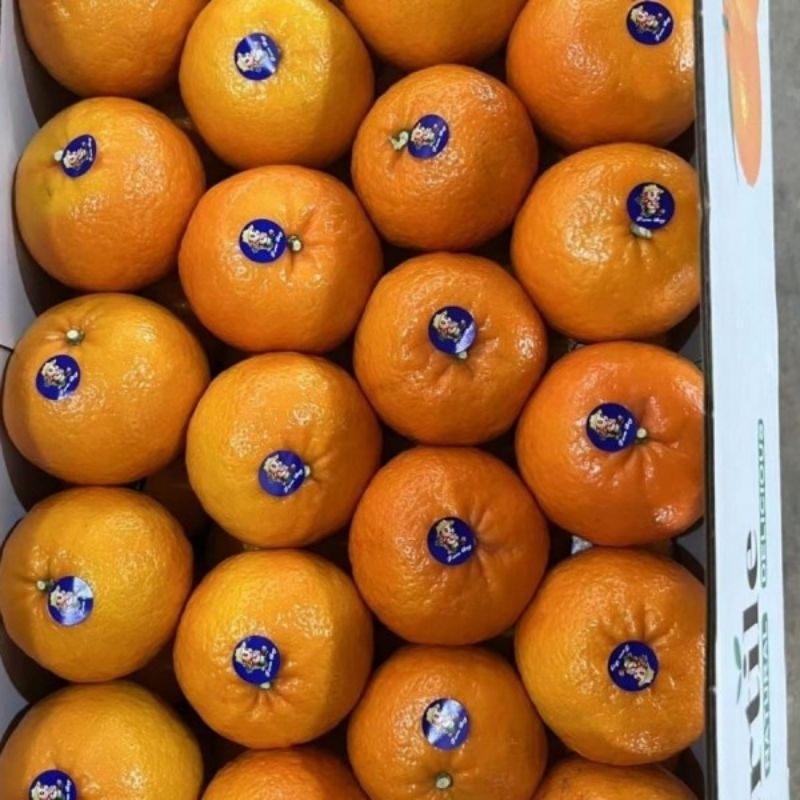 

Jeruk Mandarin Wokam – Manis, Segar & Bergizi! (1 Kg)