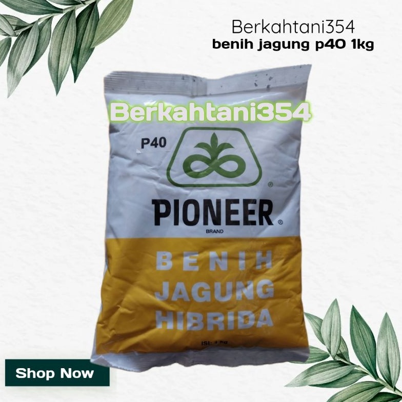 KODE T42S Benih jagung p4 1kg Bibit jagung pioner p 4 original Benih jagung pioneer p4 1kg pioner p3