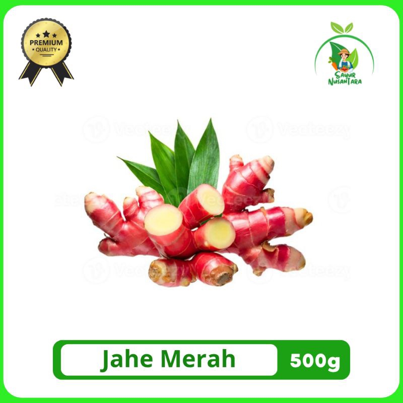 

Jahe Merah [500g] FRESH ORIGINAL