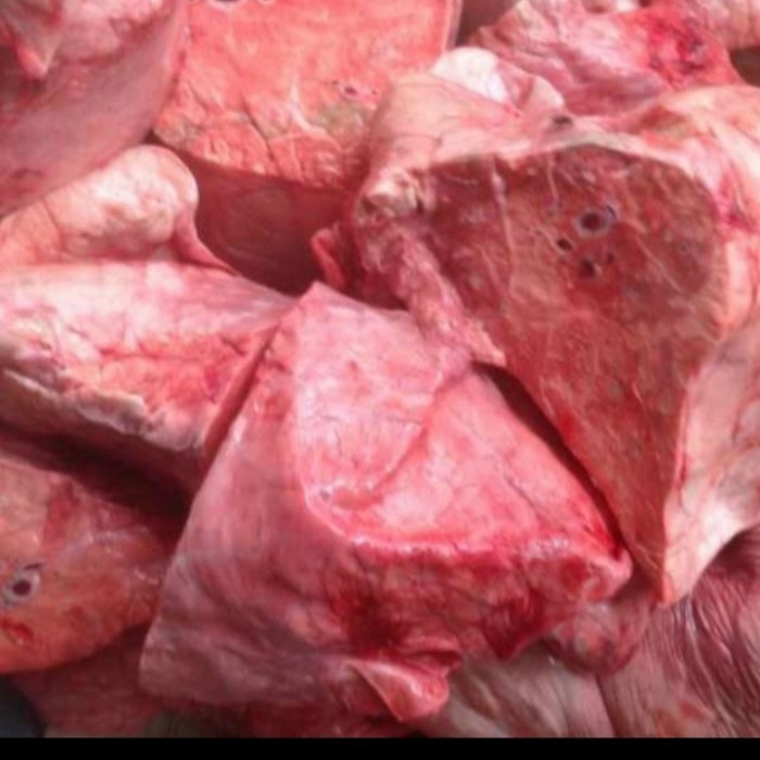 

Paru Sapi Segar 500gr Kualitas Premium