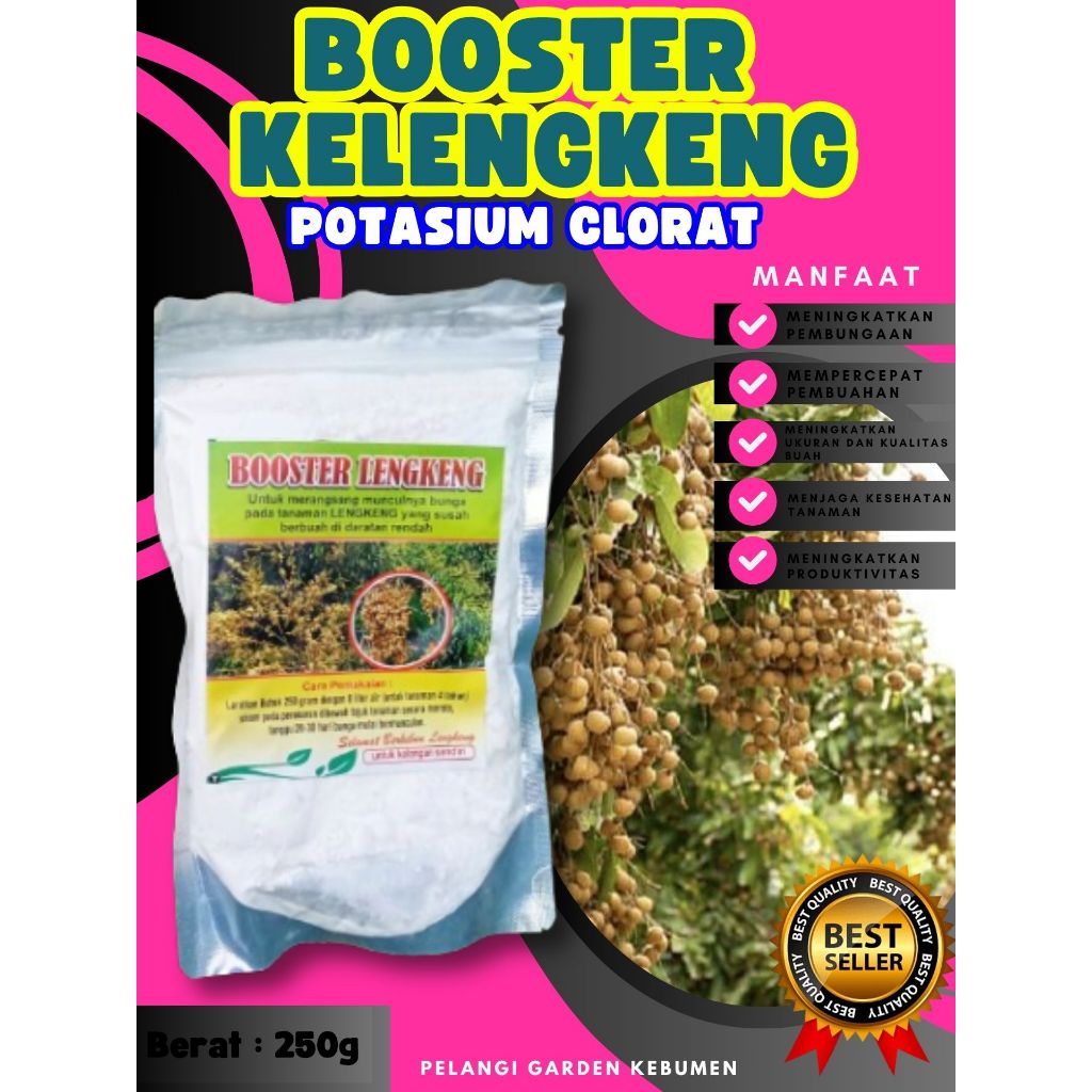 BEBAS JAMUR  Pupuk Buah Kelengkeng Kclo 3 Murni, Pupuk Buah Kelengkeng Kclo 3