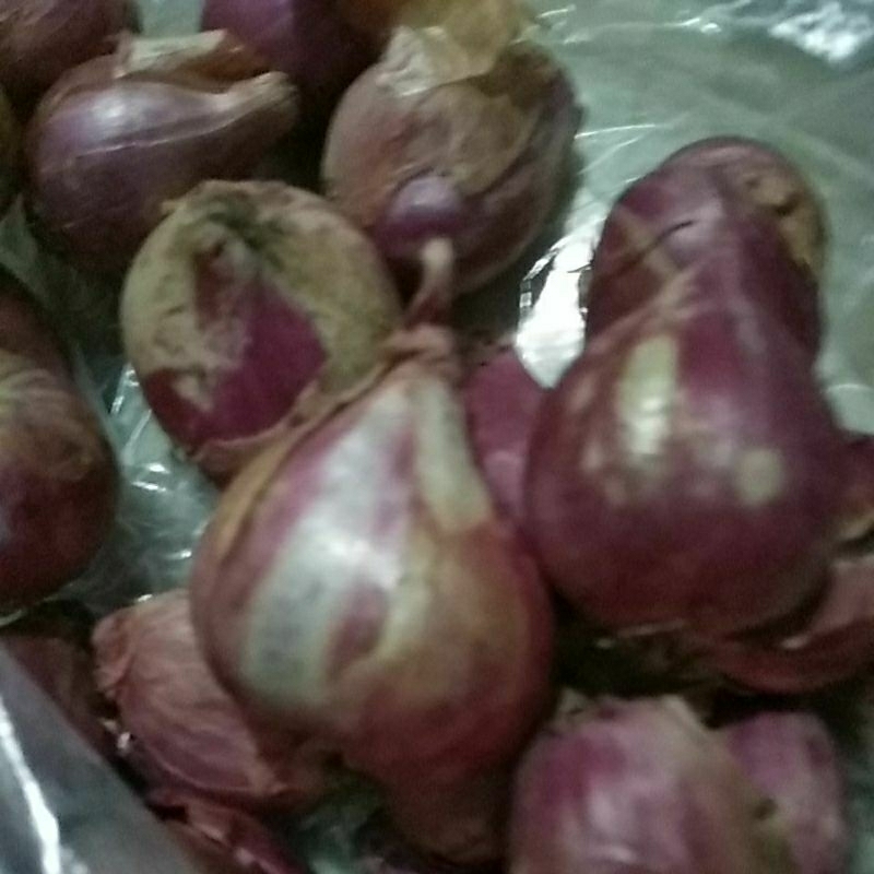 

Bawang Merah Super