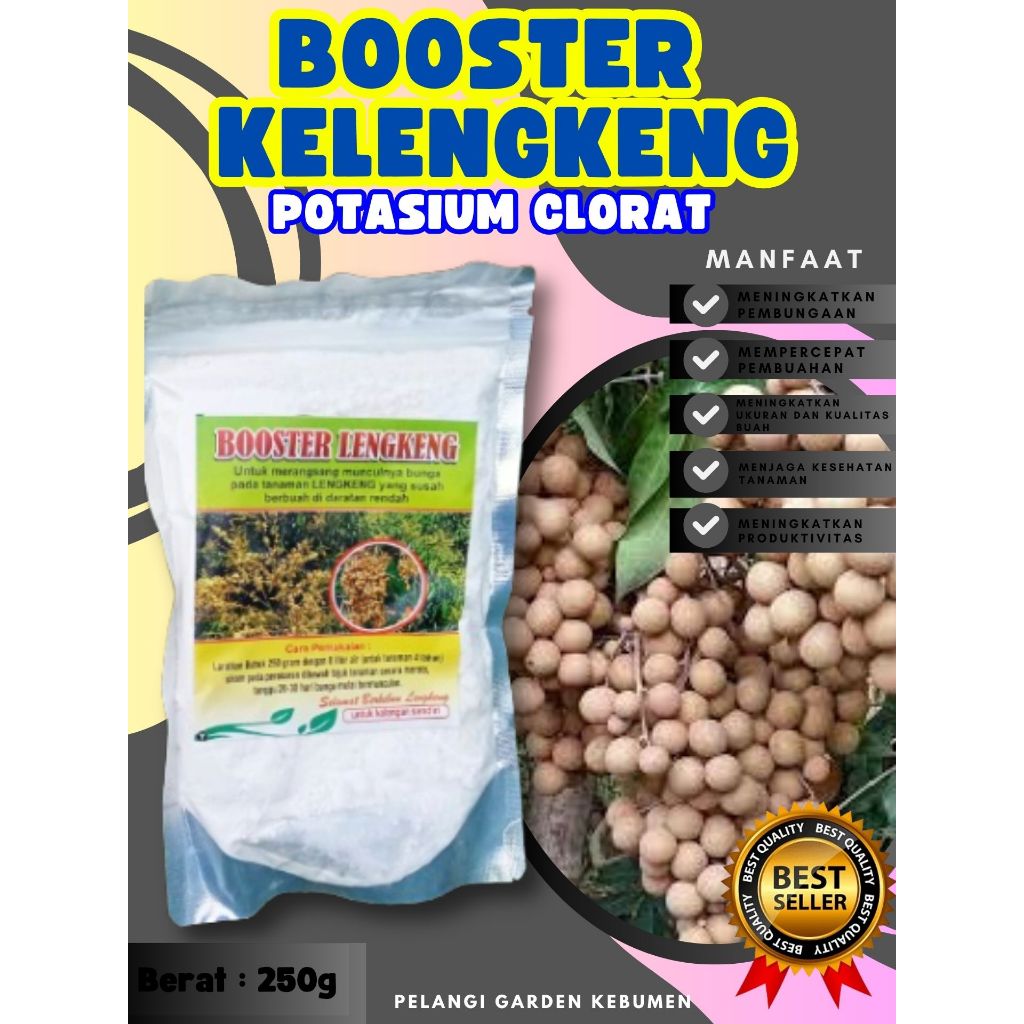 PROMO  Boster Kelengkeng Matalada Berbuah, Boster Kelengkeng Merah Cangkok Berbuah, Boster Kelengken