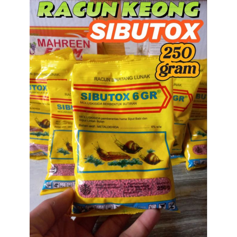 RACUN KEONG SIBUTOX 6GR KEMASAN PABRIK 250GRAM