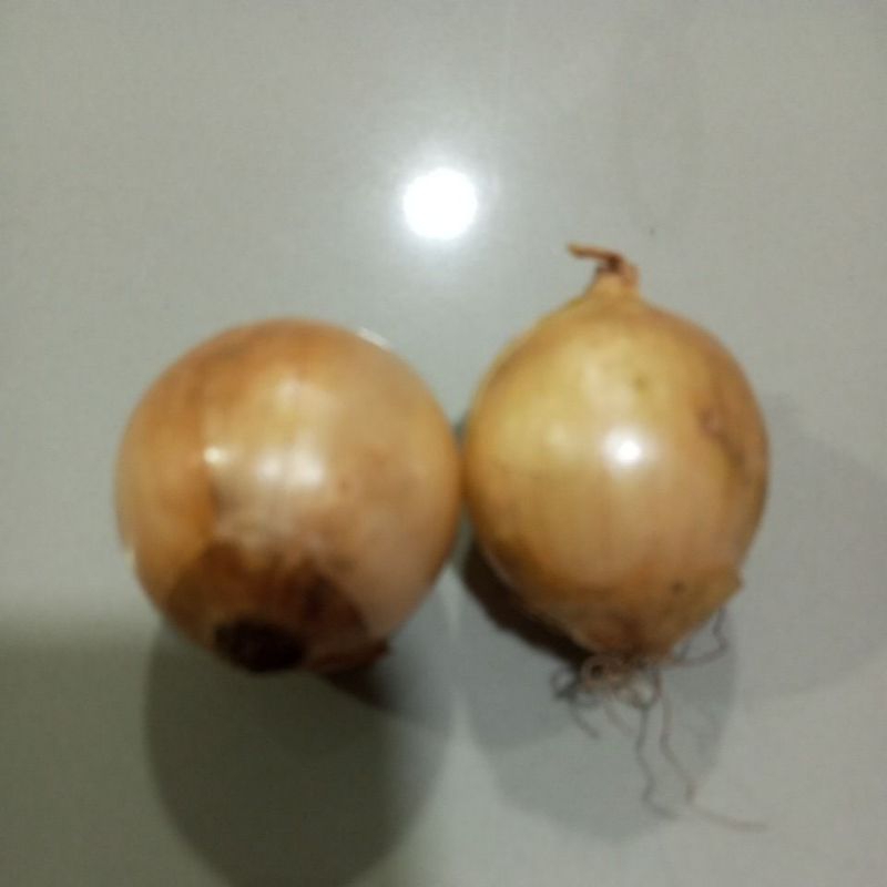 

Bawang bombay harga per 250 gr