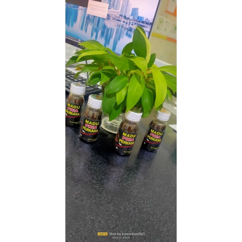 MADU PRIA PERKASA
