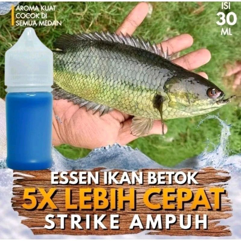Essen Ikan Betok / Papuyu, Umpan Ikan Betok Siap Pakai-43