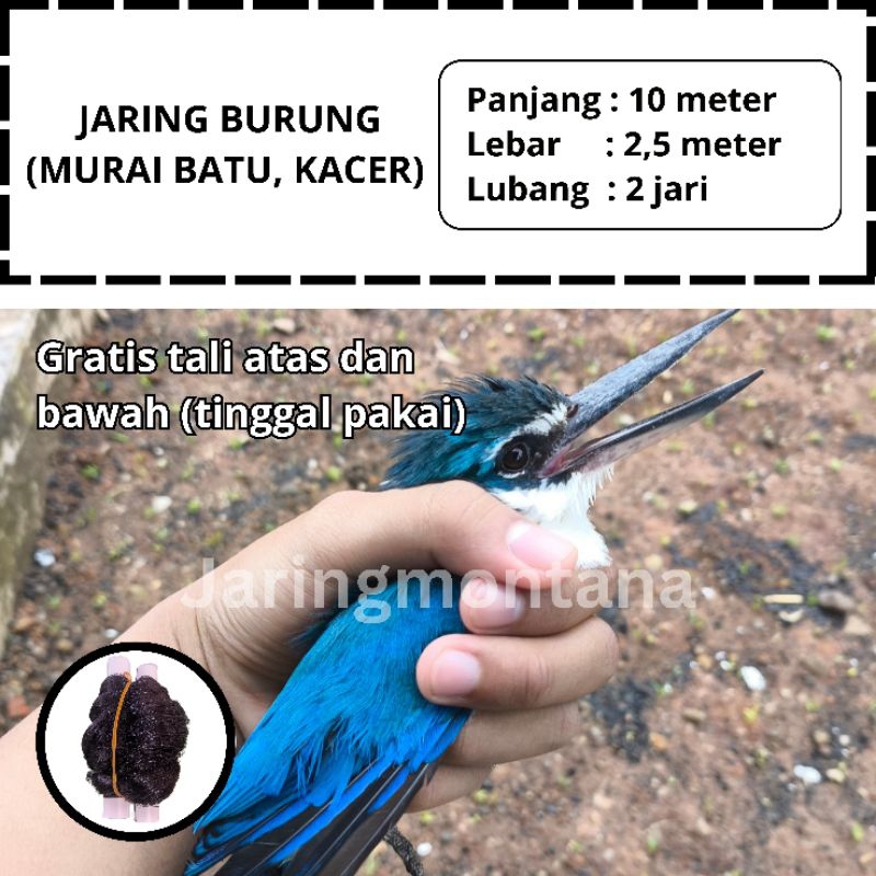 PIKAT BURUNG RAJA UDANG JEBAKAN JARING BURUNG TENGKEK JALAK KEBO SIAP PAKAI 10 METER