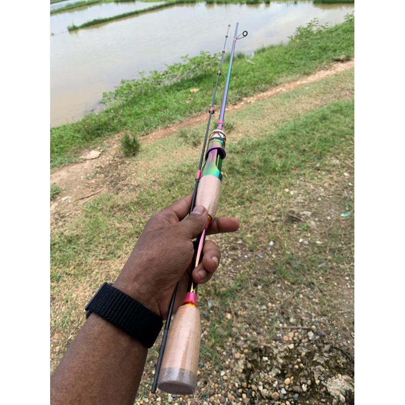 Joran zorro pelangi(bunglon)