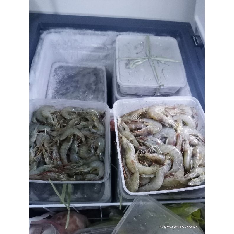 

udang vaname