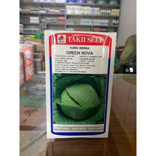 Benih Bibit Kubis Kol Green Nova