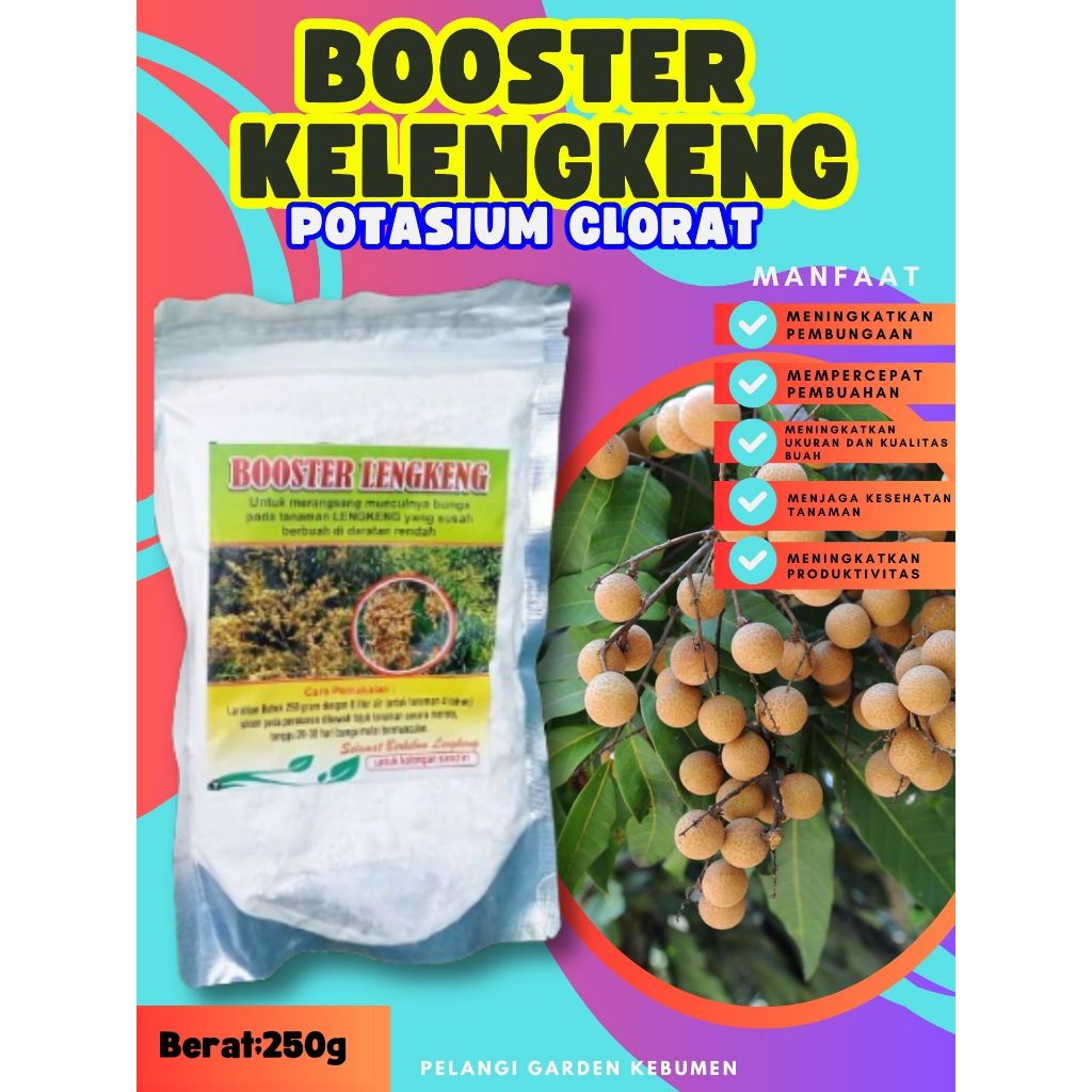 KUALITAS TERBAIK  Booster Buah Kelengkeng Murni 1Kg, Booster Buah Kelengkeng Merah, Booster Buah Kel