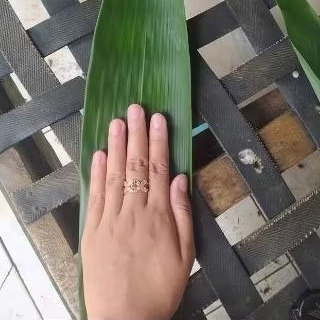 

Daun Bambu Segar/Bungkus Bakcang