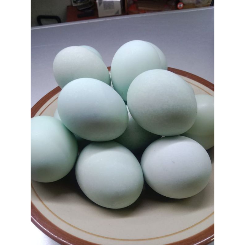 

Telur Asin Bebek, Ibu Hasanah