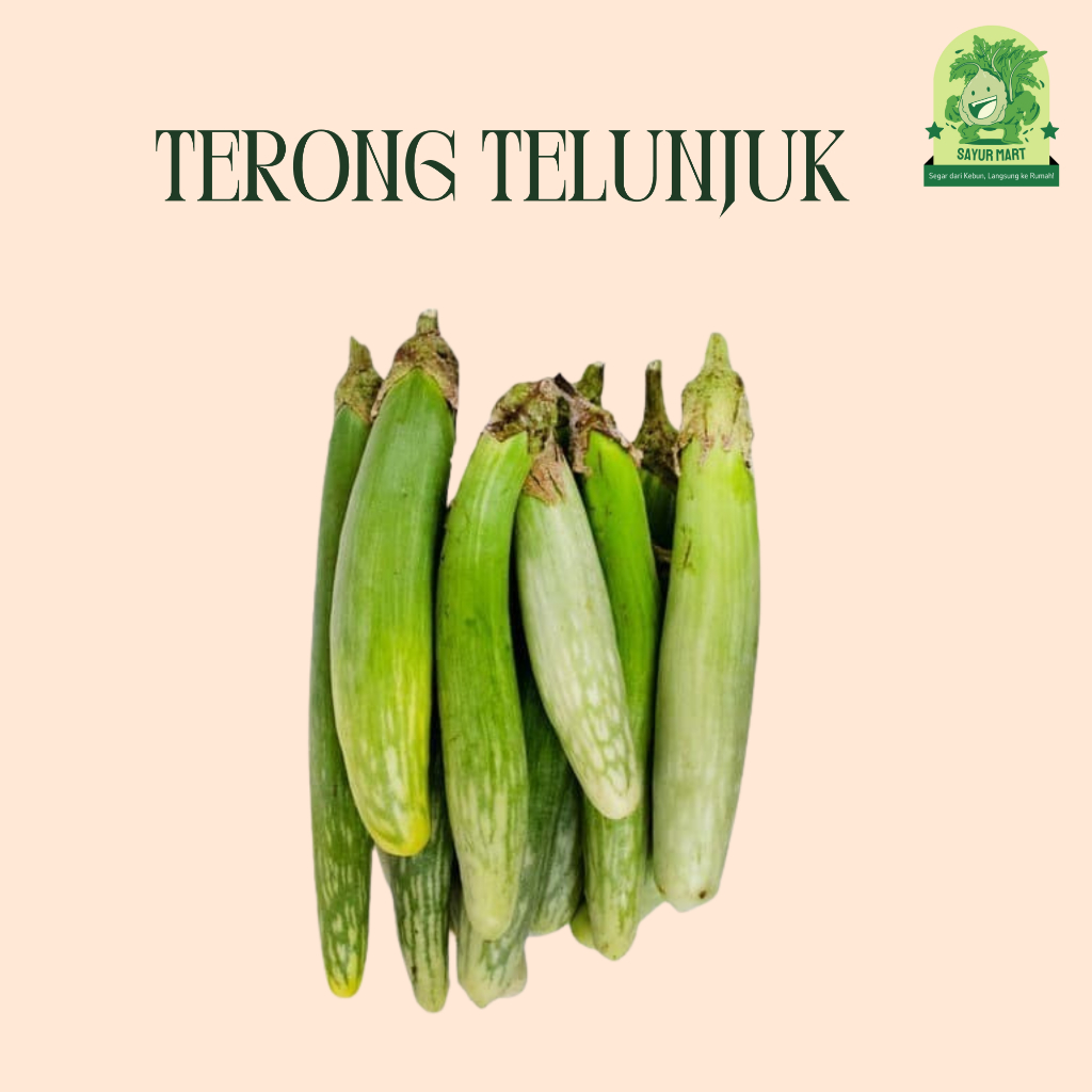 

Terong Telunjuk 200 Gram