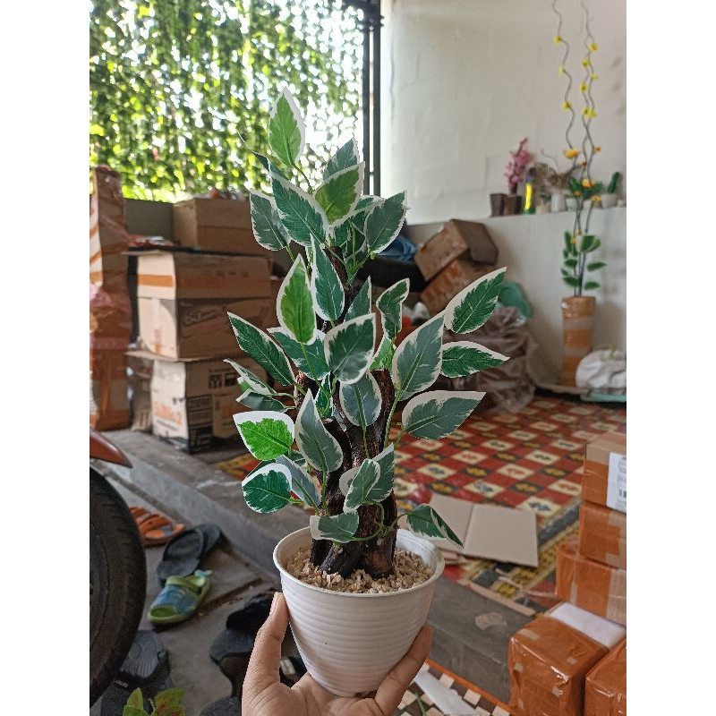 Bonsai Beringin Artificial / Bonsai Hias / Bunga Plastik / Daun Bonsai / Beringin Bonsai / Hiasan Ru