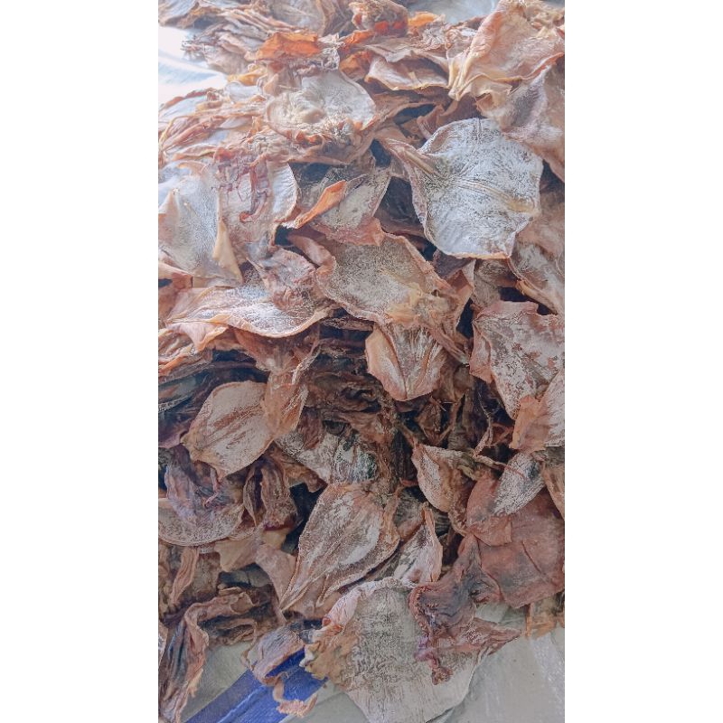 

Cumi kering tawar Juhi atau Sotong kering tawar Langsung dari nelayan Kualitas No 3
