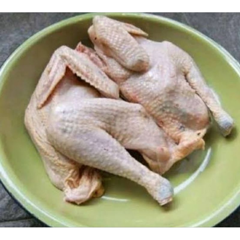 

Ayam kampung asli segar fresh peternakan sendiri