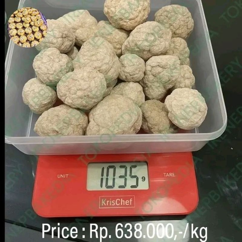 

Jamur Susu Harimau [Ho Lin 虎奶] 100% Asli Sumatera | Superfood Herbal Premium Imunitas & Vitalitas