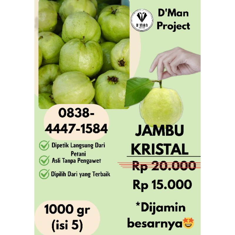 

Jambu Kristal Segar (kategori "A" ) 1 Kg (Isi 5 Buah) – Manis, Renyah, Tanpa Biji – Langsung dari Petani