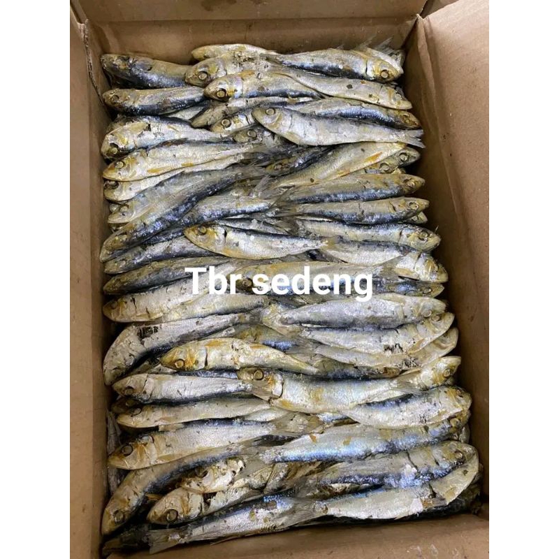 

Ikan asin tbr sedang khas Lampung