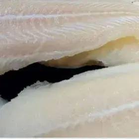 

ikan dori pilet frozen
